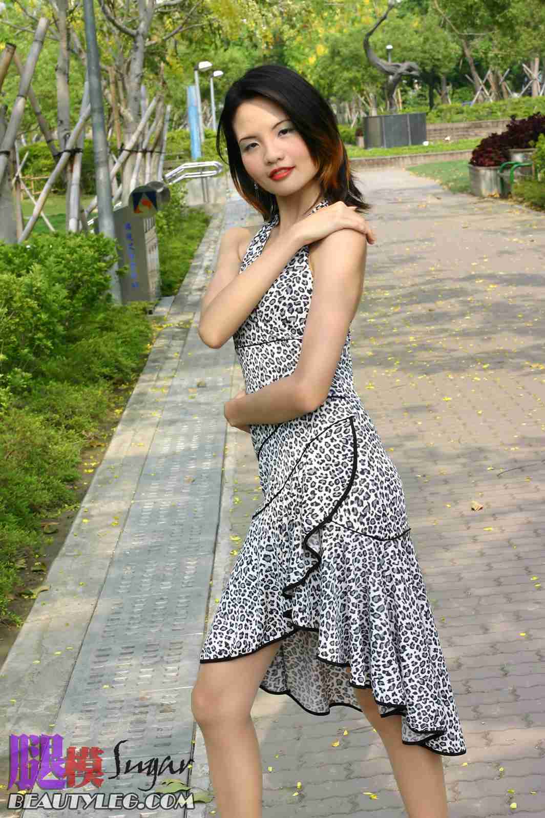 [BeautyLeg] No.019 Sugar 在现浏览第13张