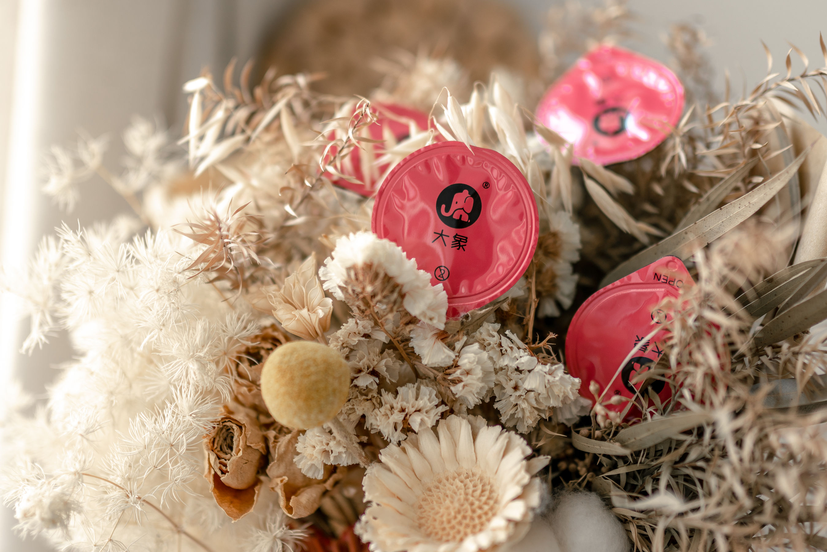 [COS福利] 动漫博主蠢沫沫 - 大象 白睡衣第10张