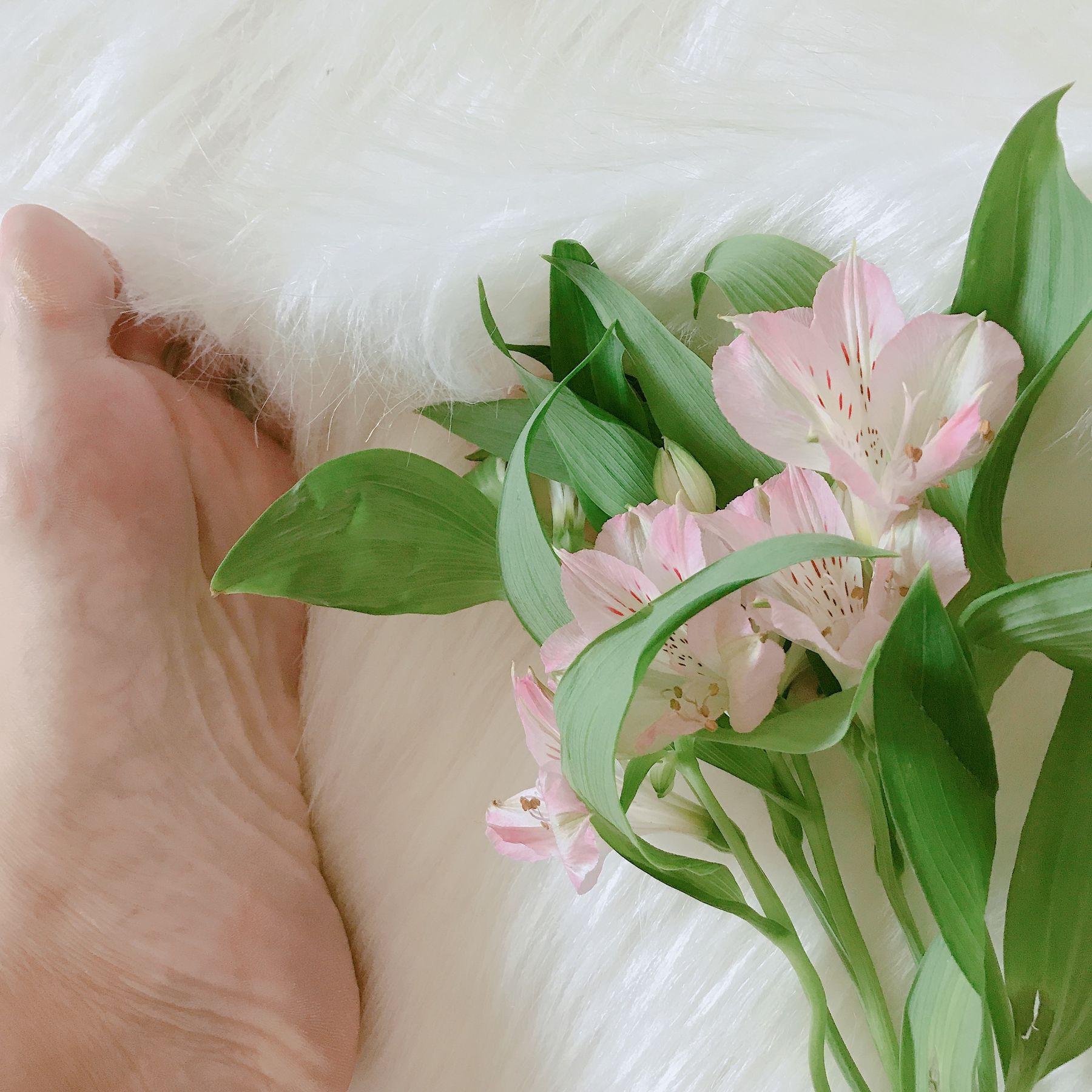 [福利COS] 安乔乔儿(Nia乔乔) No.006 学姐来了第5张