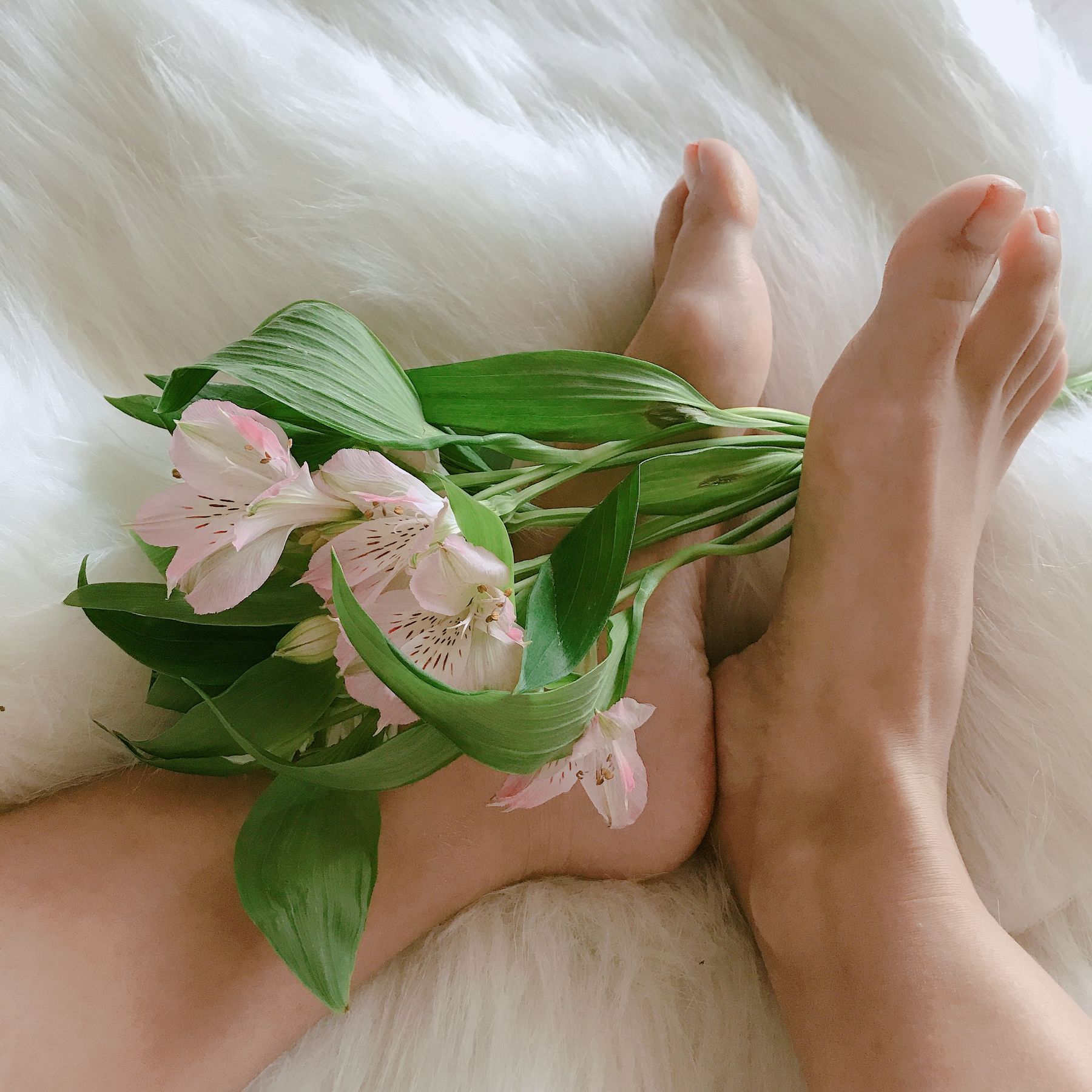 [福利COS] 安乔乔儿(Nia乔乔) No.006 学姐来了第1张