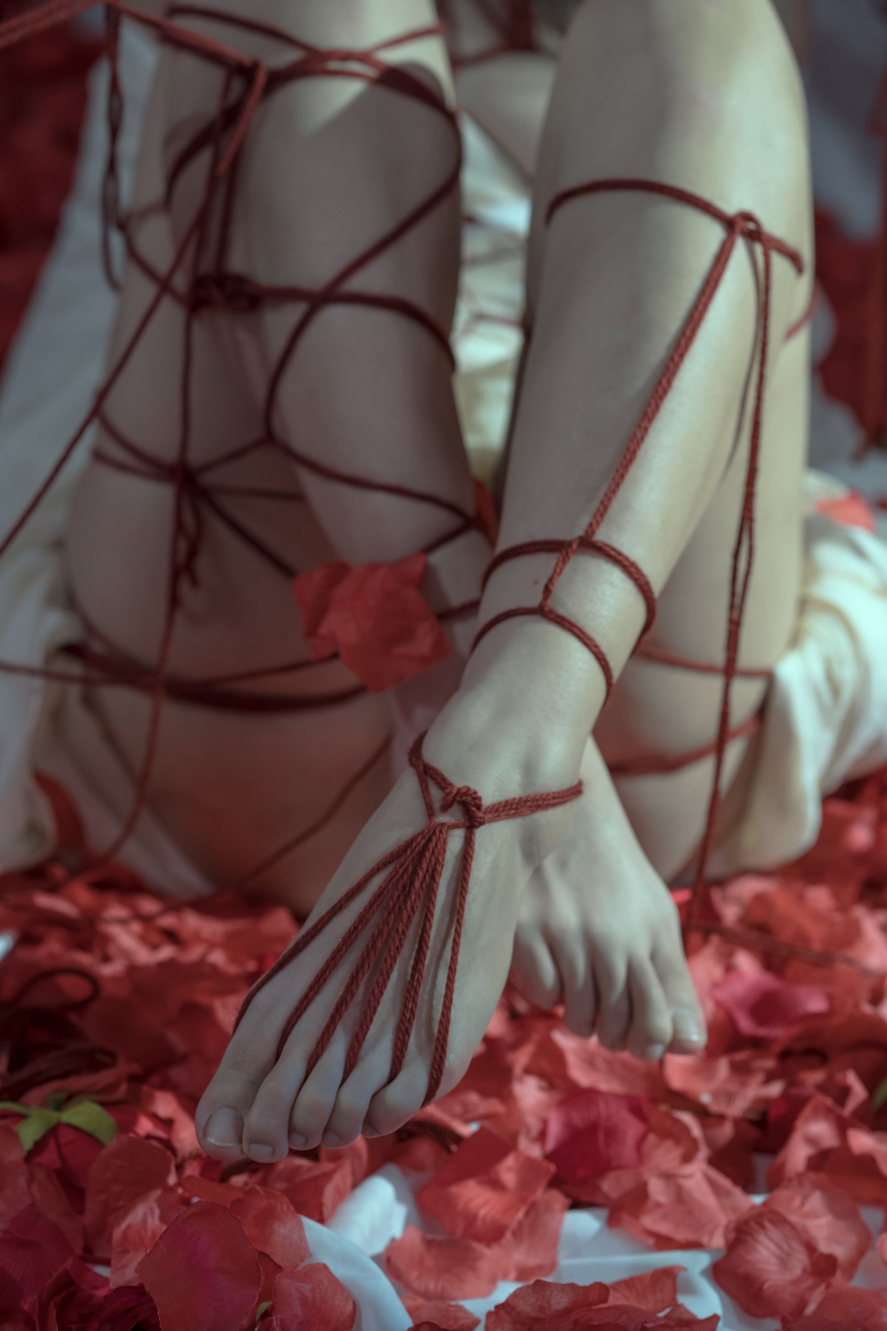 [福利COS] 云溪溪 - 奶桃 囚鸟第14张