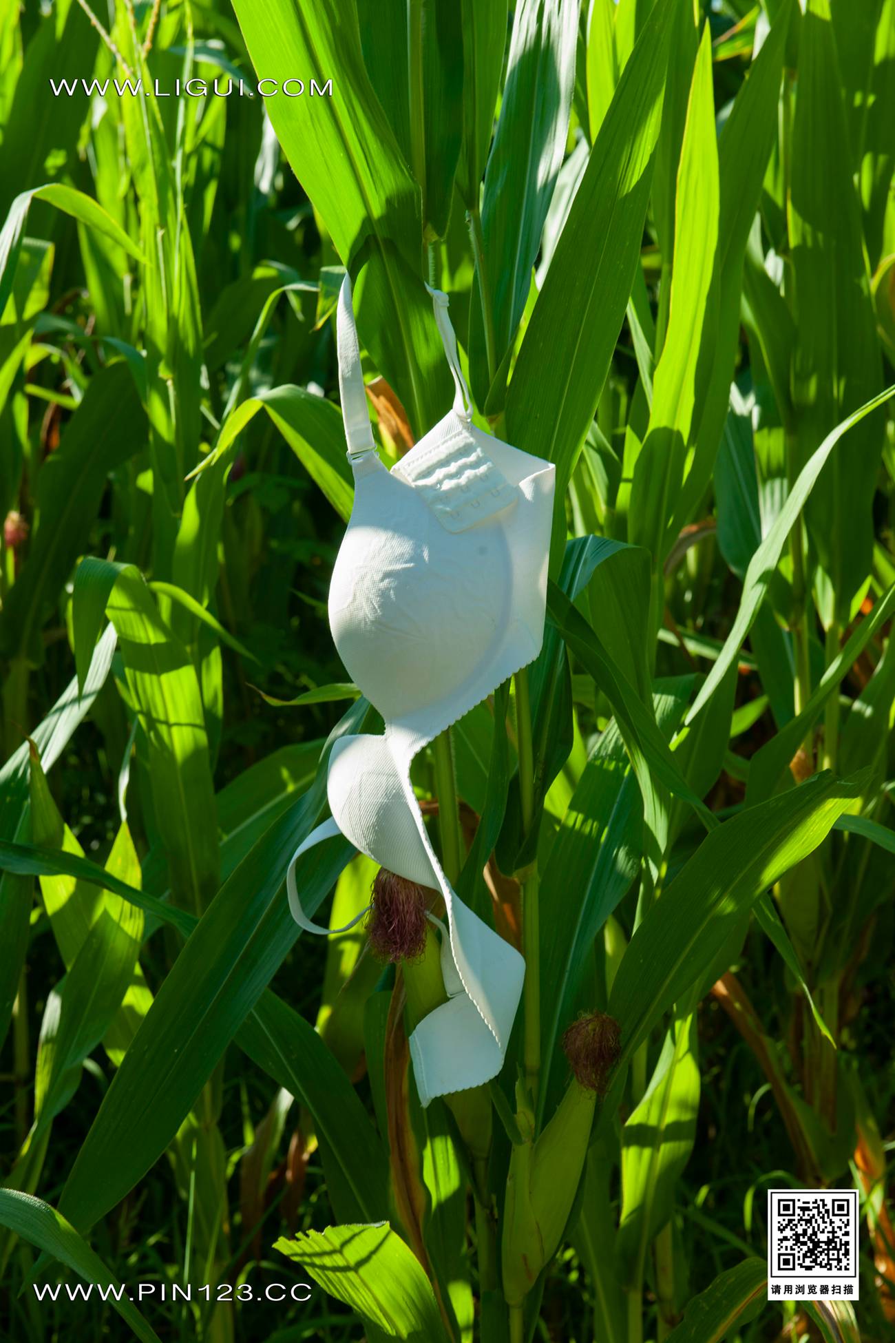 [Ligui丽柜]2022.08.04 七夕-田园春色 甜甜&amp;心心第23张