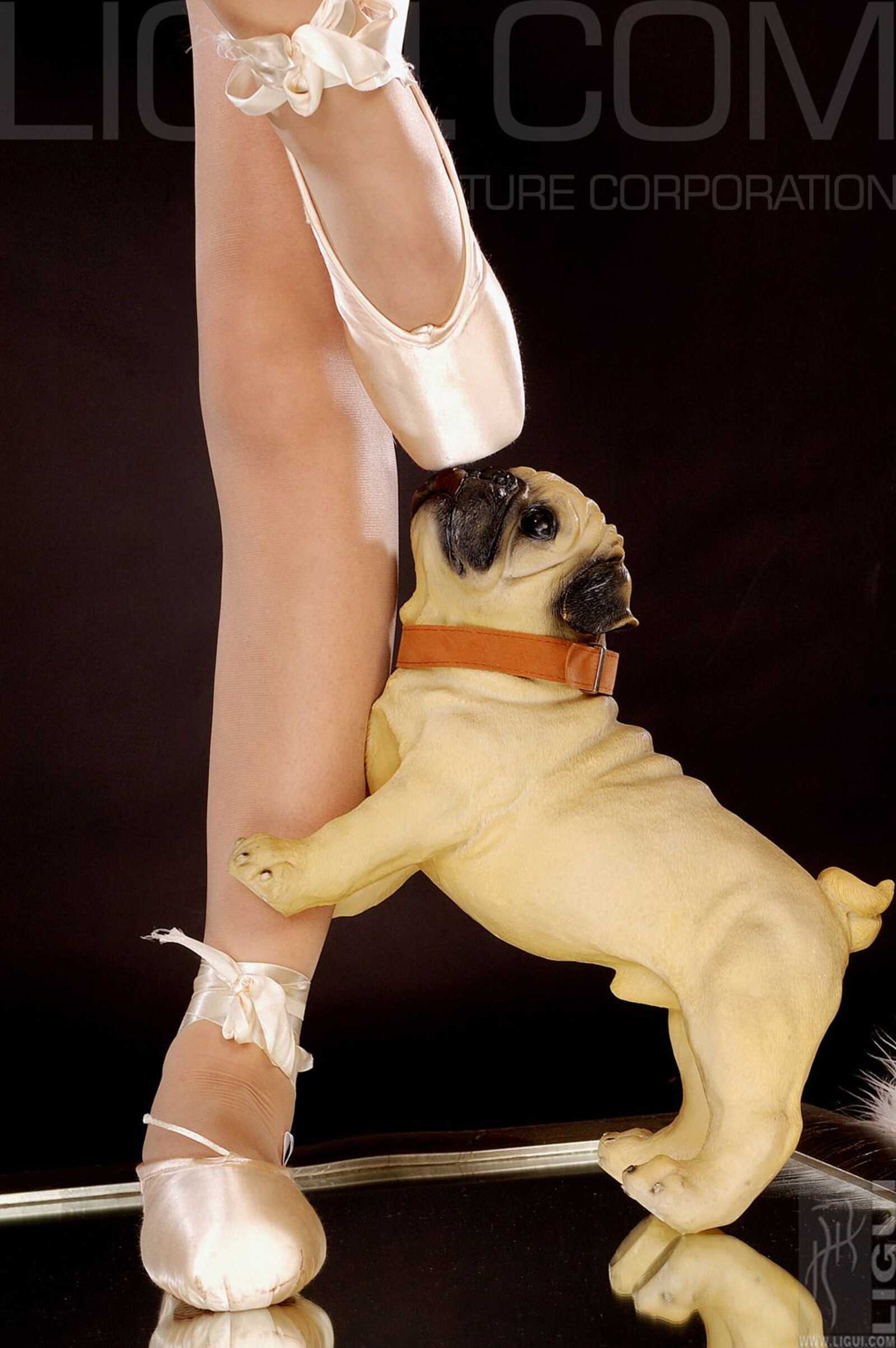 [丽柜LiGui] Model 丝丝《美丽的天使》丝足写真图片第1张