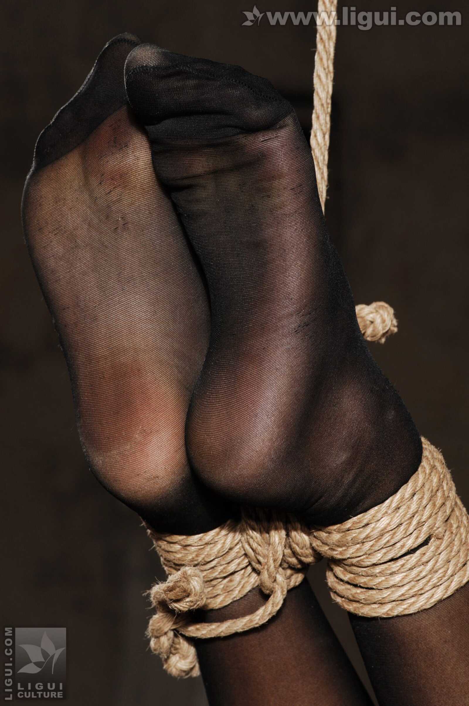 Model 伊园《黑丝诱惑捆绑主题》 [丽柜美束LiGui第10张