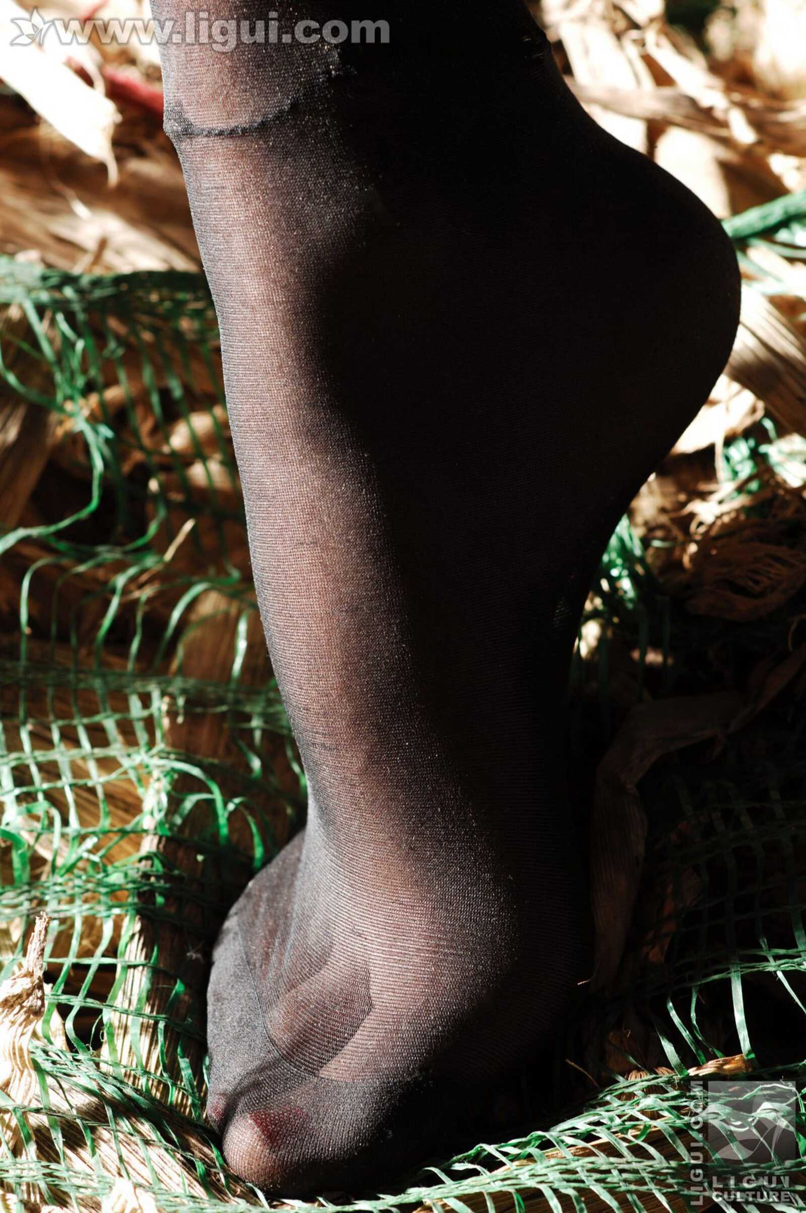 Model 伊园《黑丝诱惑捆绑主题》 [丽柜美束LiGui第1张