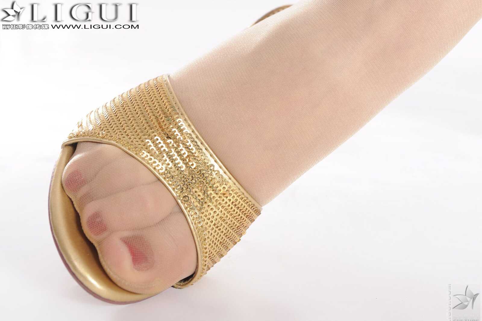 Model 文静《铿锵玫瑰》 [丽柜LiGui] 美腿玉足写真第6张