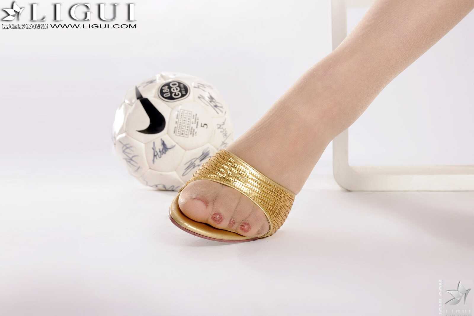 Model 文静《铿锵玫瑰》 [丽柜LiGui] 美腿玉足写真第5张