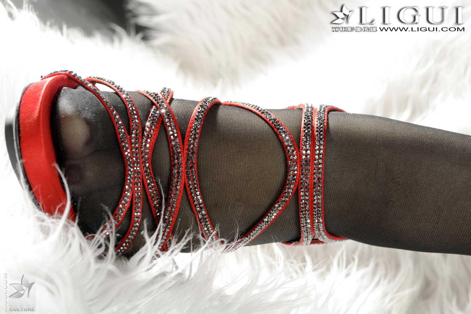 Model 文静《黑色蕾丝的诱惑》 [丽柜LiGui] 美腿玉第8张