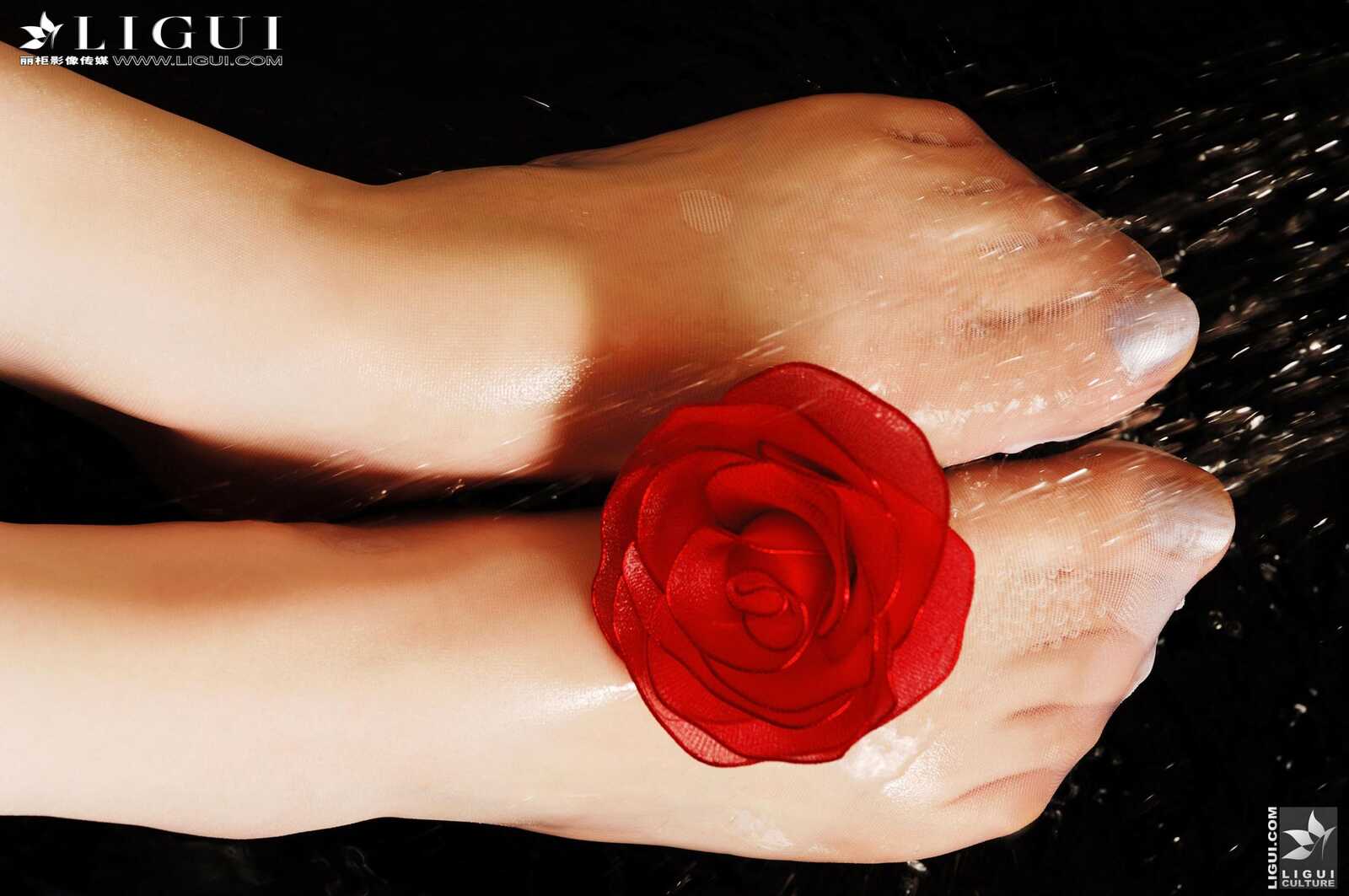 [丽柜贵足LiGui] Model 蒙蒙《蕾丝尤物》美腿丝足写第1张