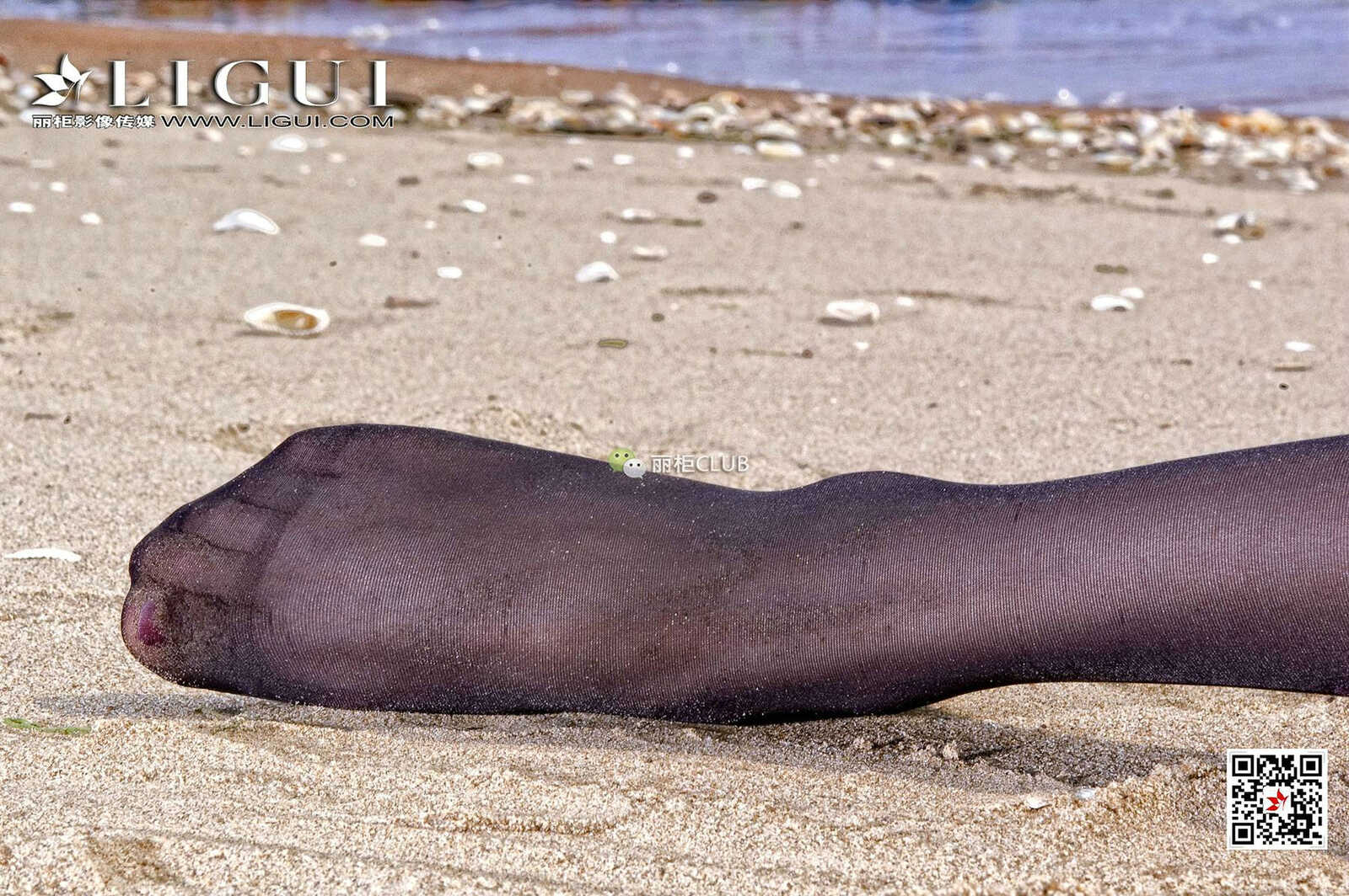 腿模菲儿《沙滩黑丝》 [丽柜Ligui] 写真集第11张