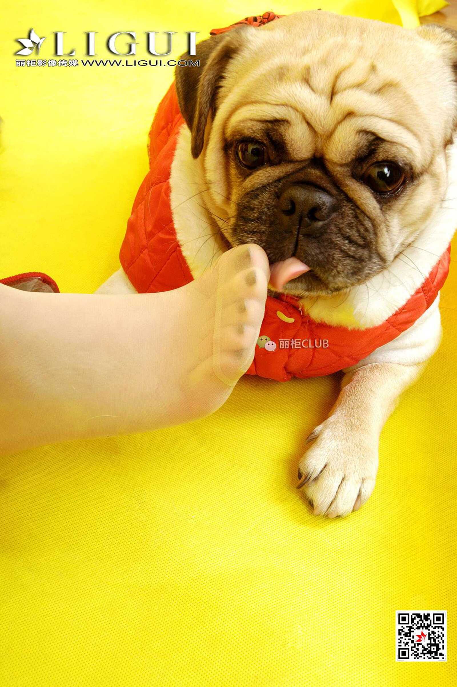 璐璐《新春丝足》 [丽柜LIGUI] 网络丽人 写真集第13张