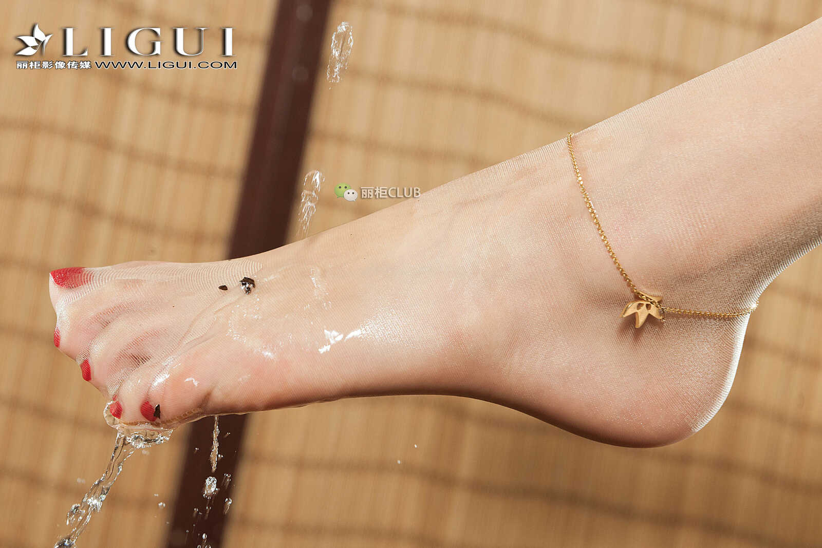 腿模王欣竹《旗袍茶艺丝足》 [丽柜Ligui] 美腿丝第2张