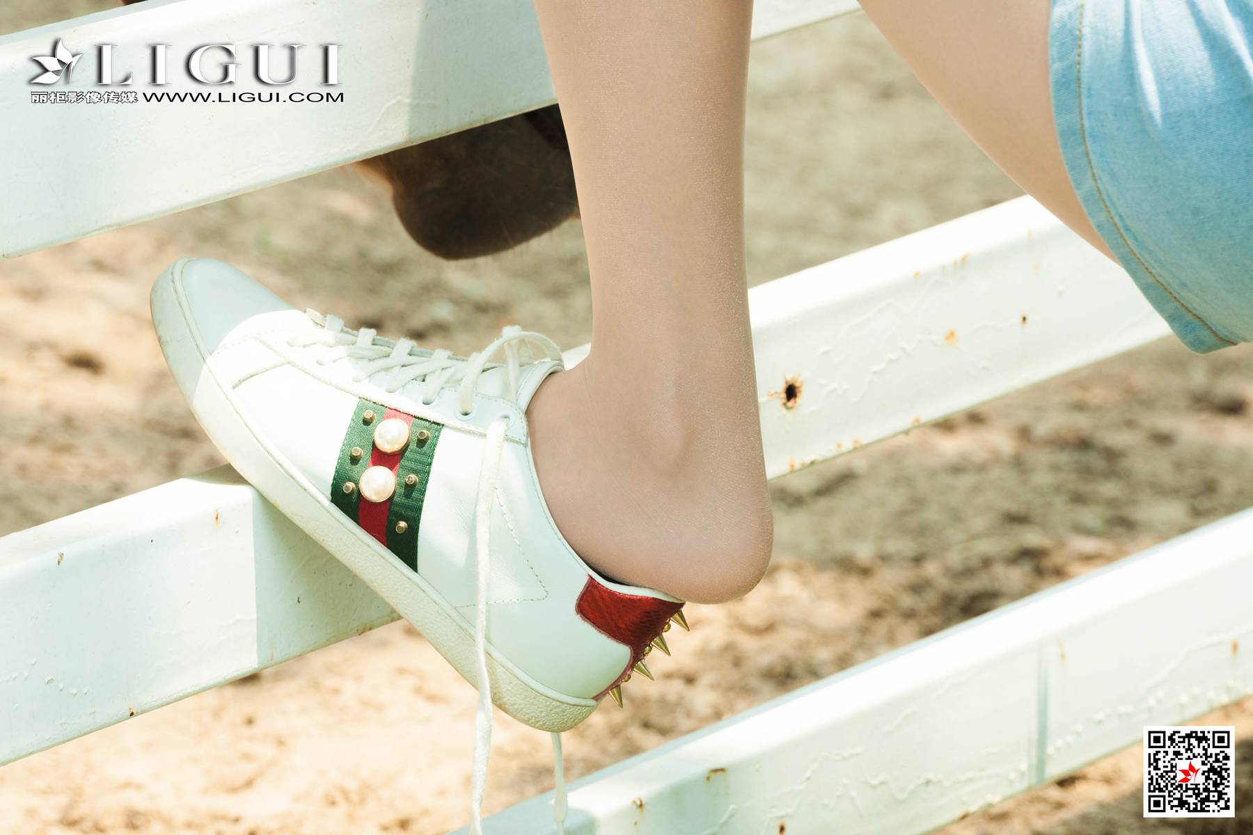 [Ligui丽柜]网络丽人 2020.11.08 Model 甜甜&amp;安娜第11张