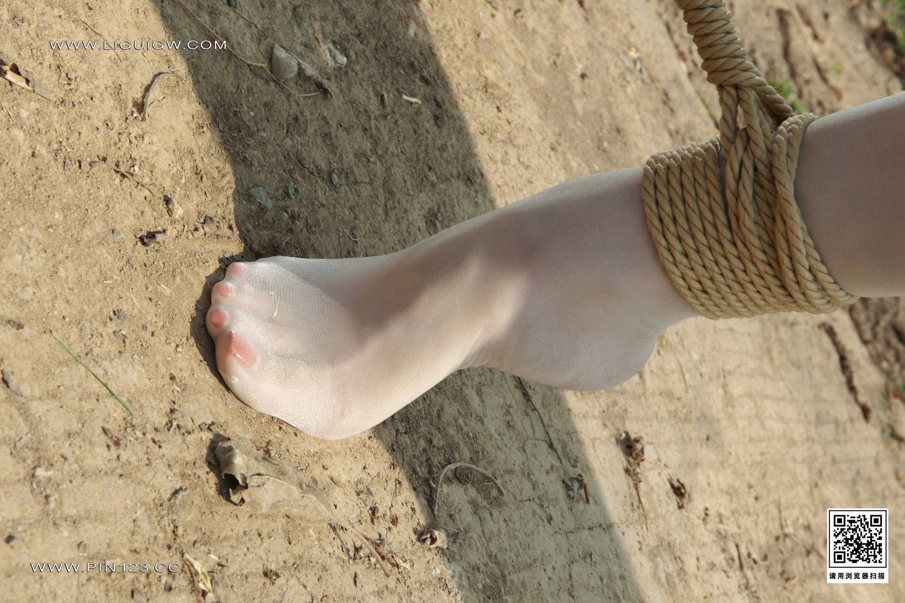 [Ligui丽柜] 2023.10.18《薰衣草之殇》下 心心第4张