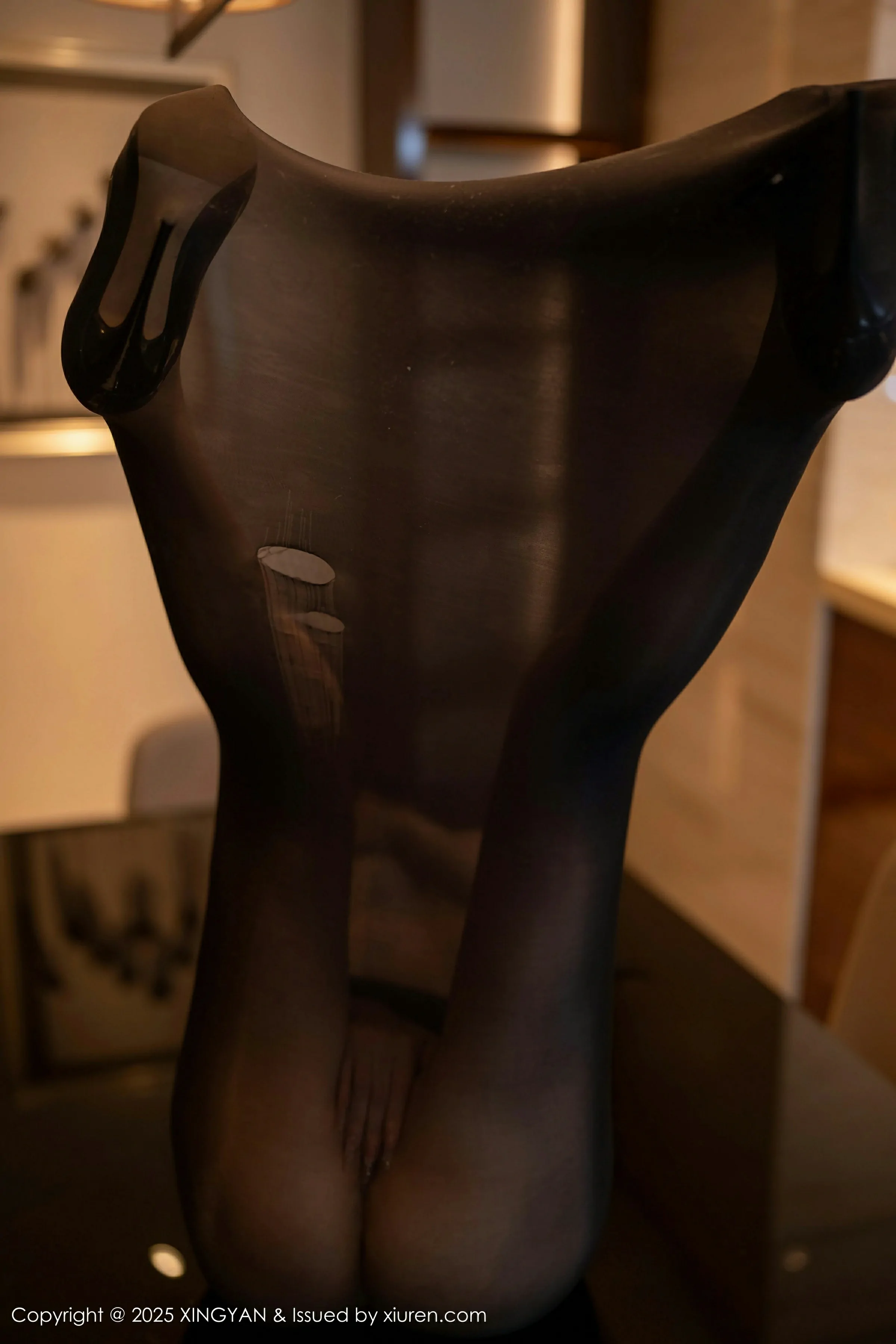  星颜社 VOL.309 潘思沁 [80P]第11张