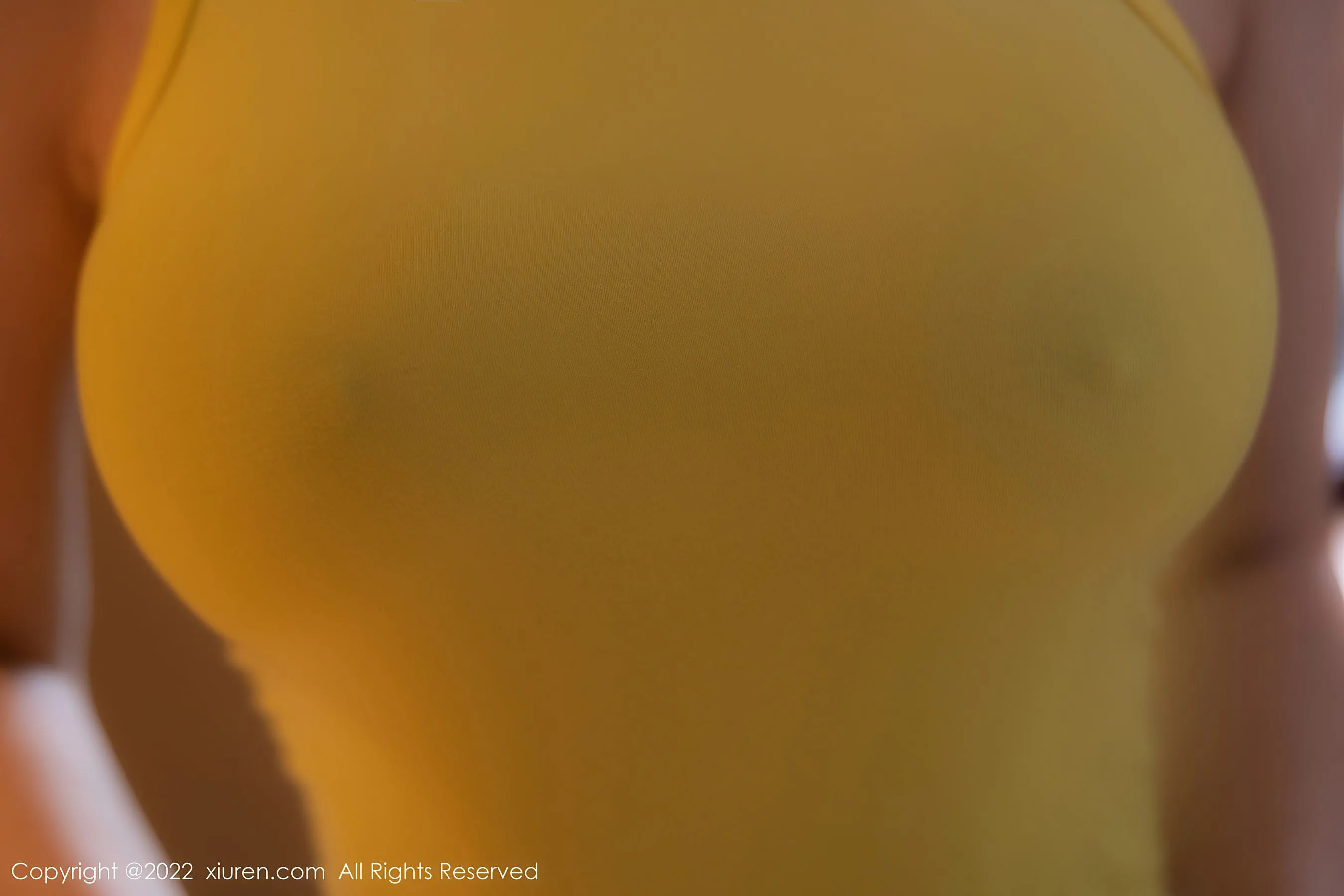  秀人网 No.5843 顾乔楠Cora 黑丝美臀第20张