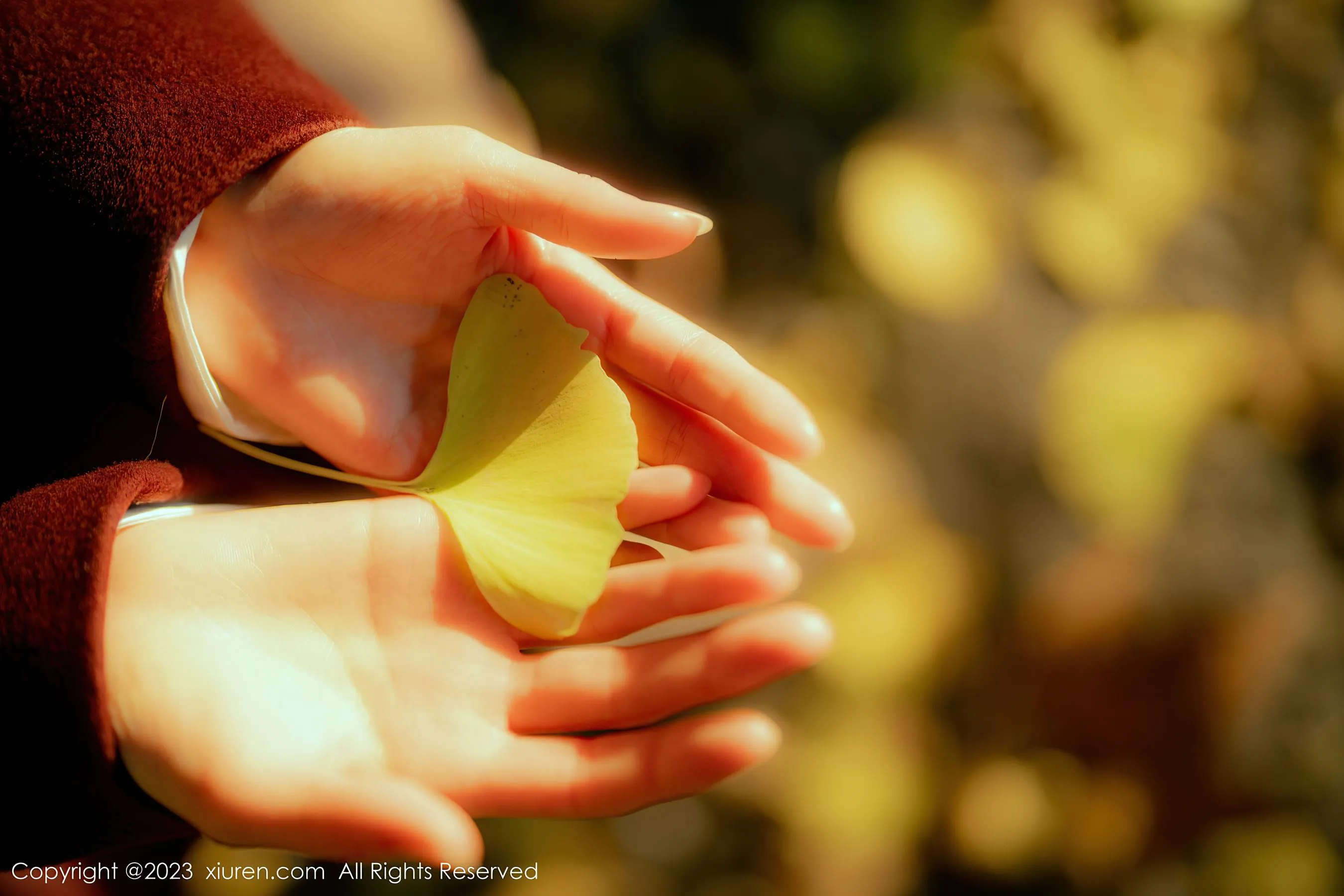  秀人网 No.6137 婠婠么第18张