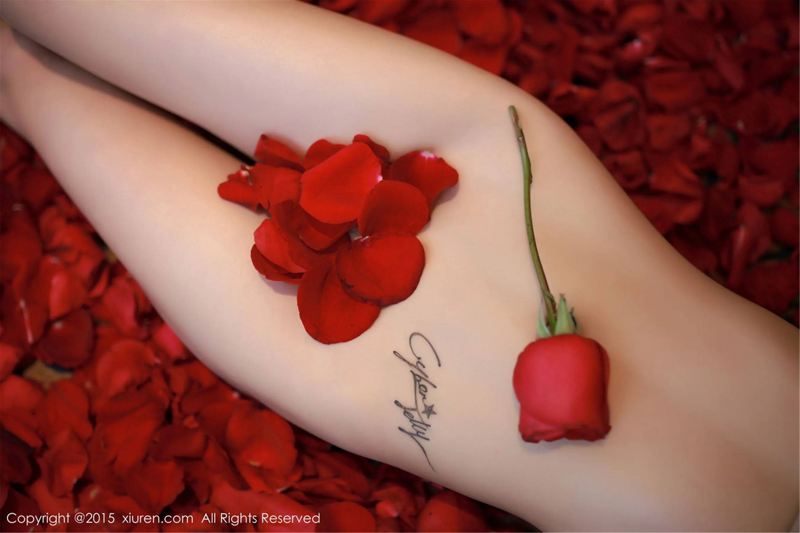 CyberJelly霜爷《性感内衣私房系列》 秀人网 No.276第9张