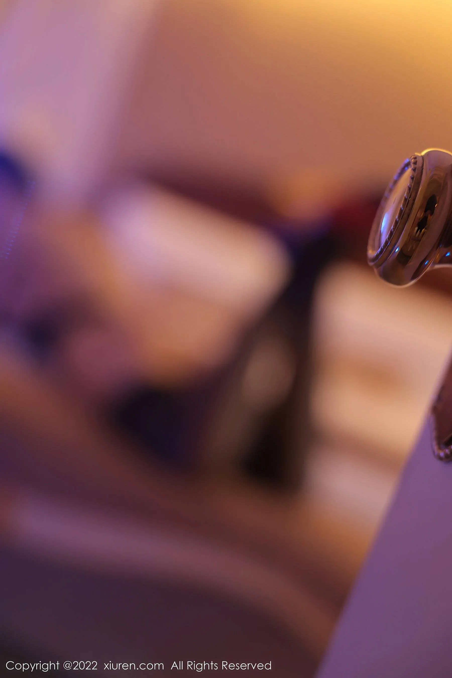 秀人网 No.5589 田冰冰第21张