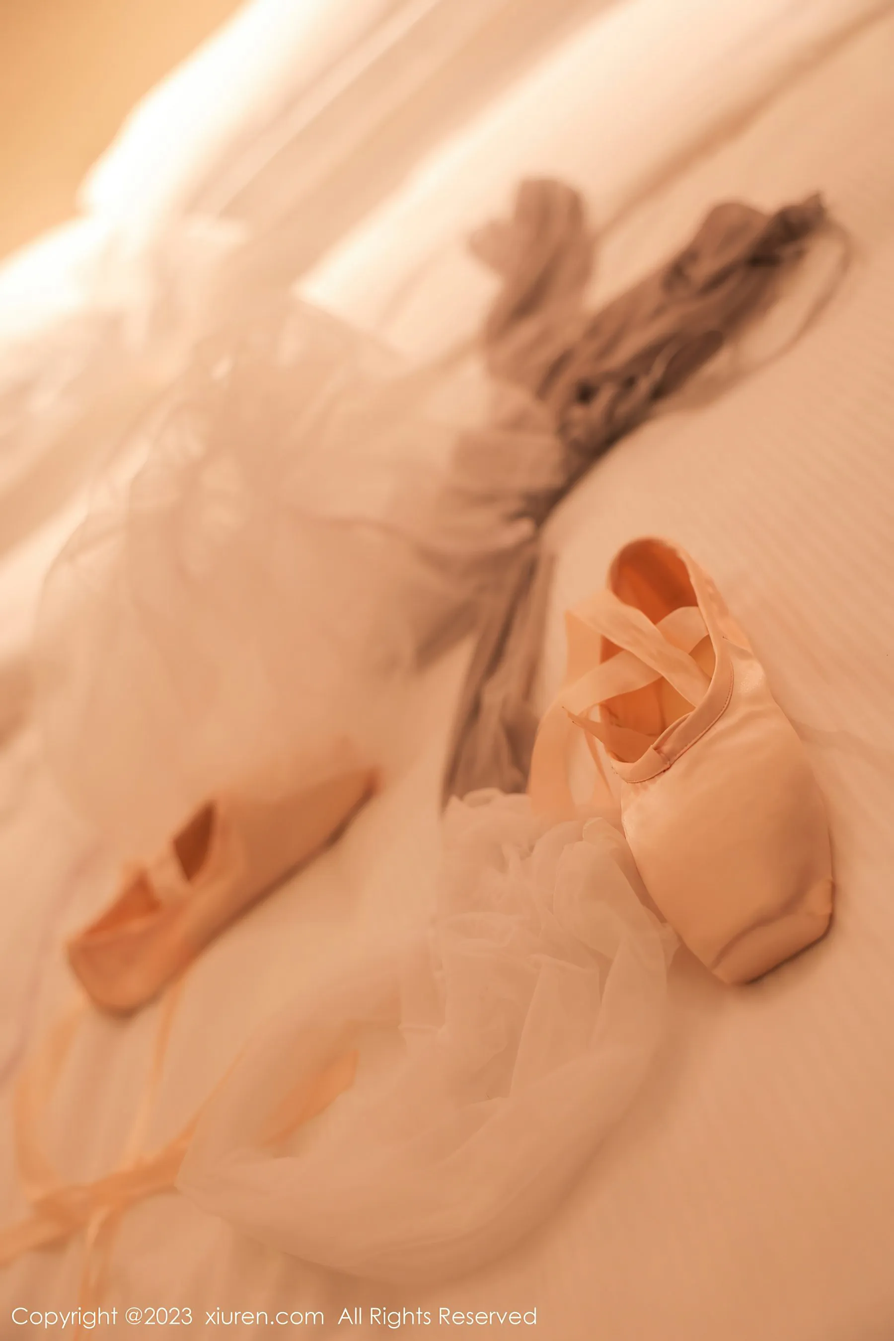  秀人网 No.6592 谢小蒽 丝袜美腿第14张