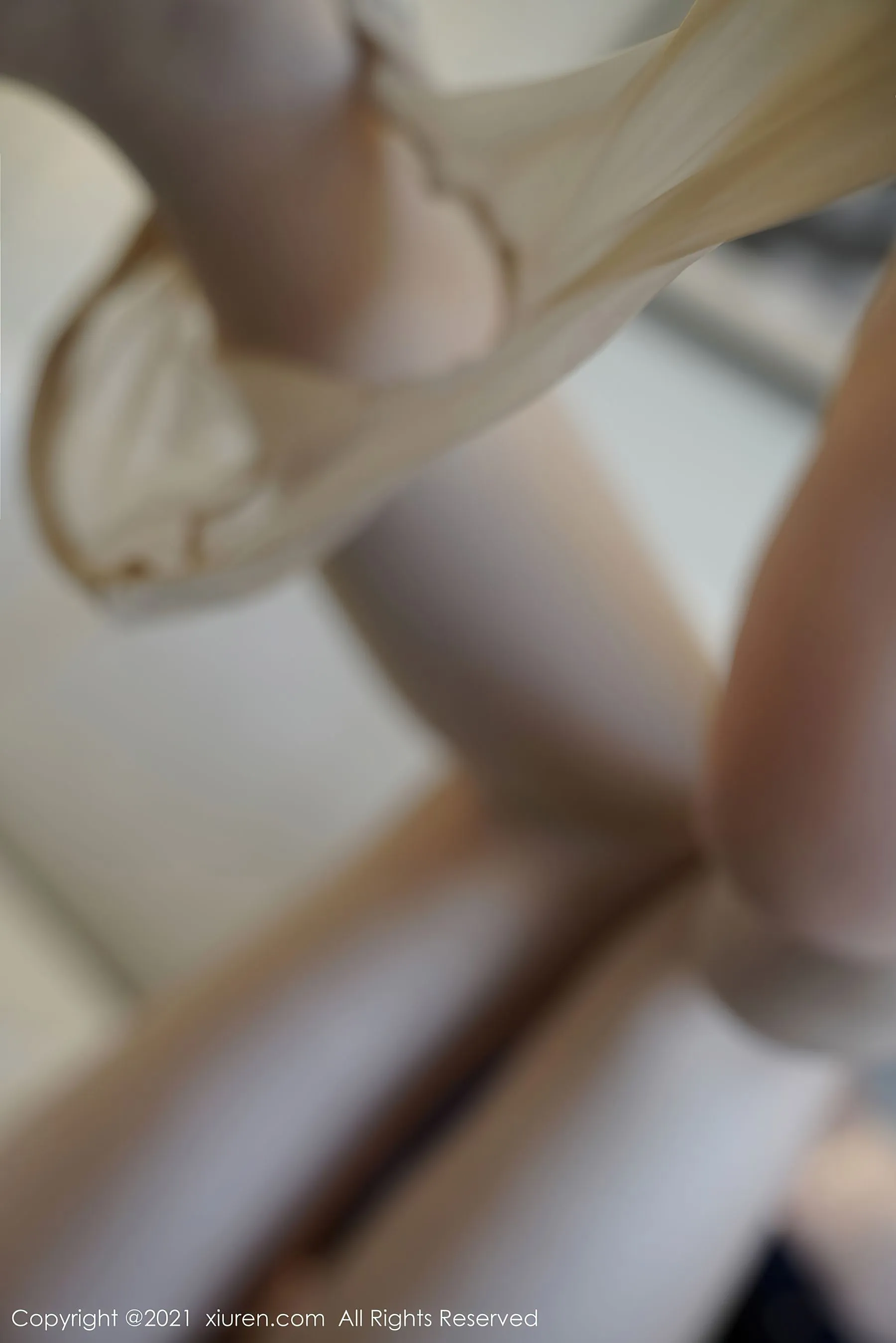 秀人 No.3034 芝芝Booty第12张