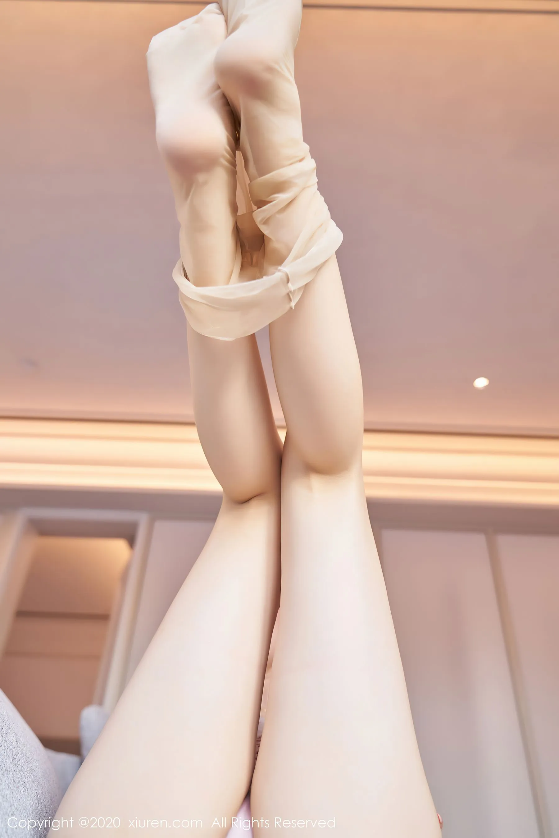 秀人 No.2949 芝芝Booty第26张