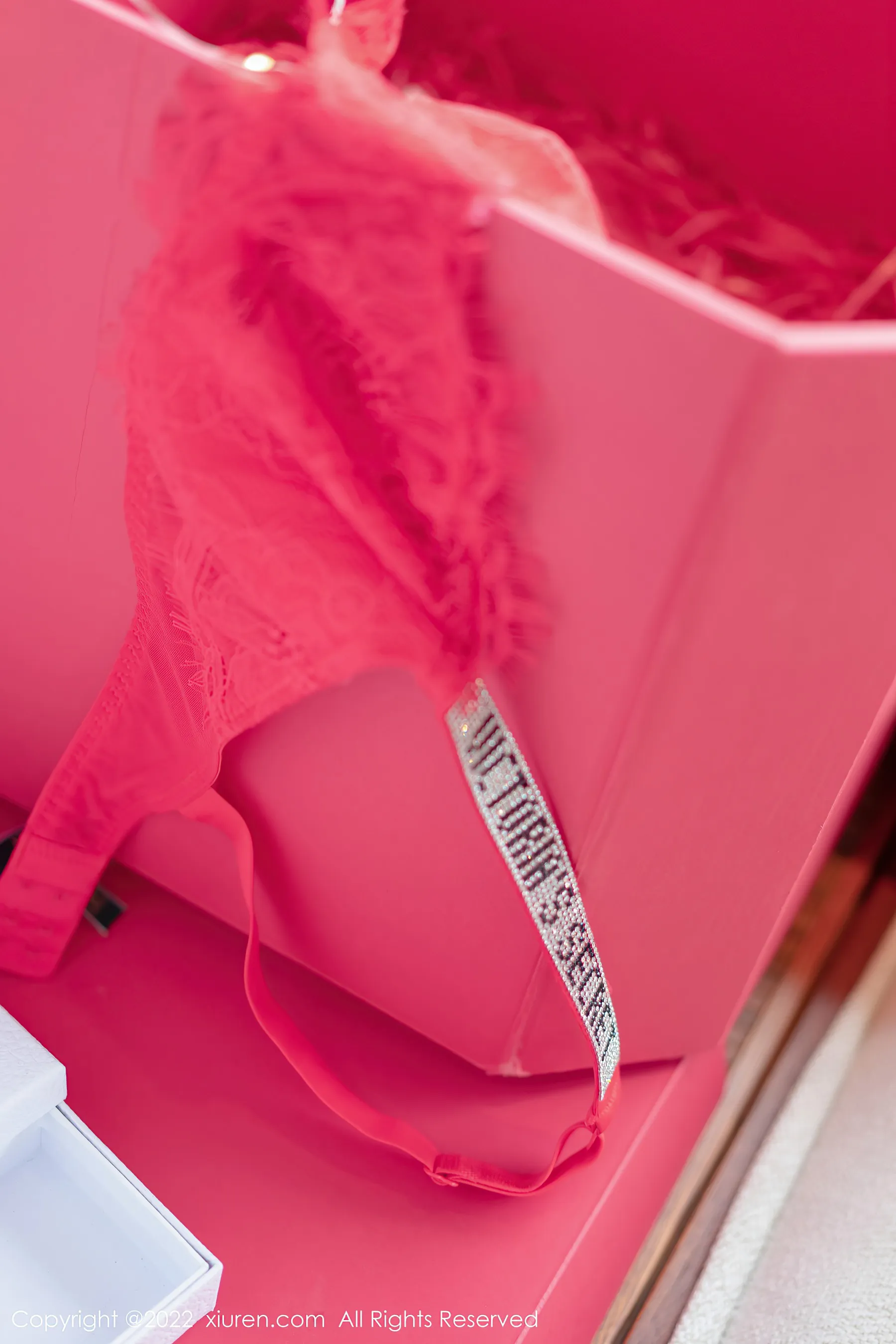  秀人网 No.4580 允爾 丝袜短裙丰满御姐第12张