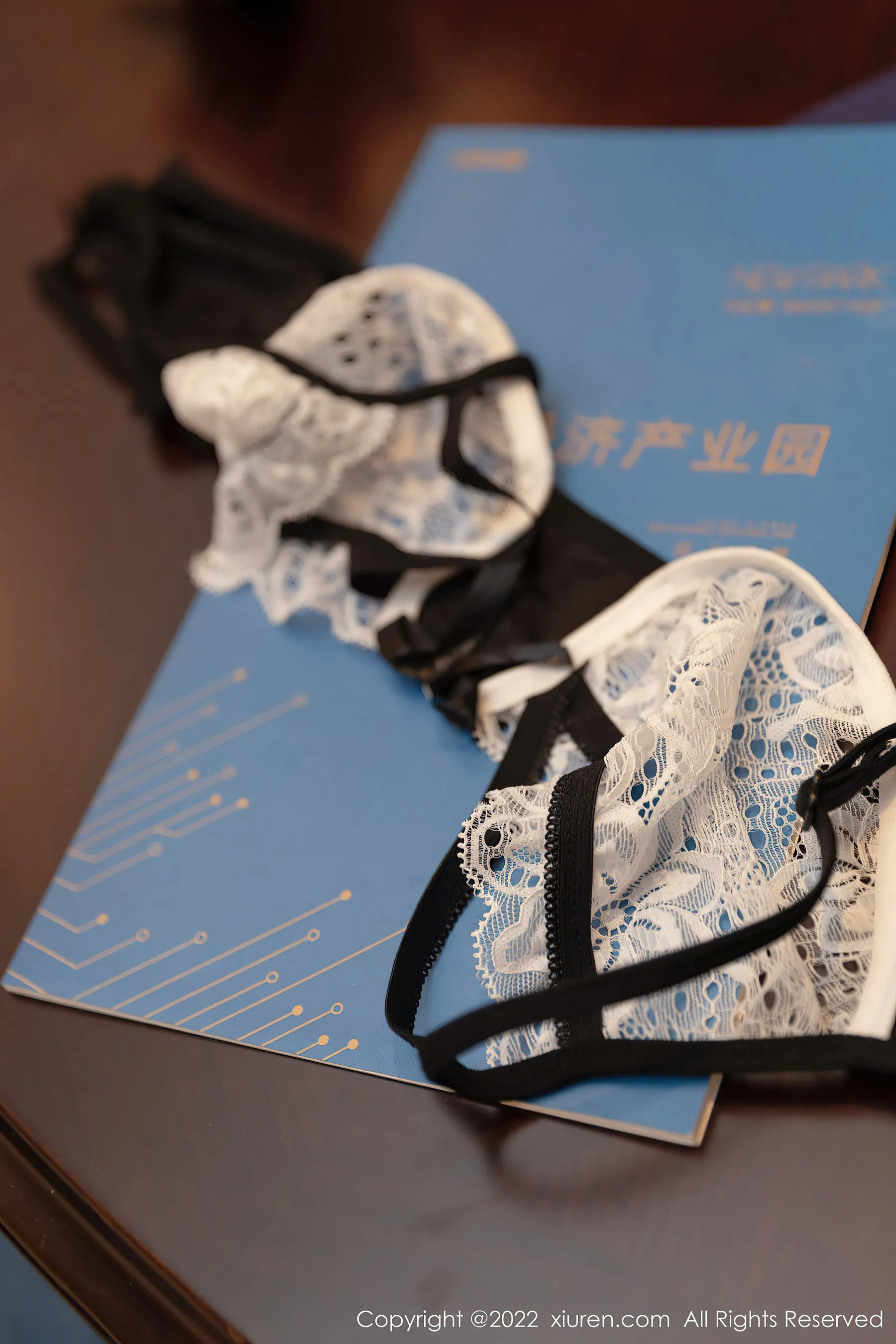  秀人网 No.4775 王雨纯 蕾丝服饰写真第16张