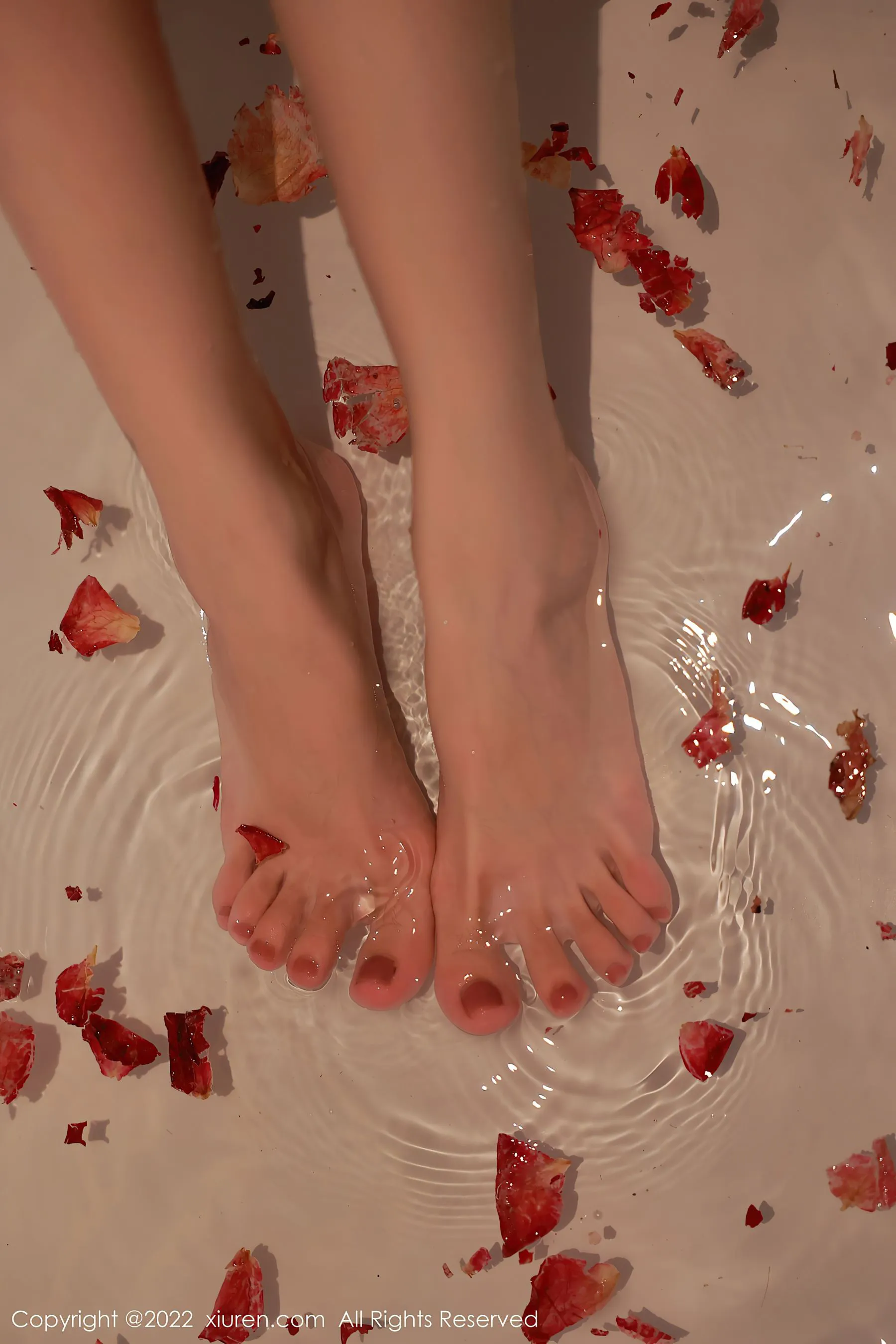  秀人网 No.5682 Hebe韩心雨第18张