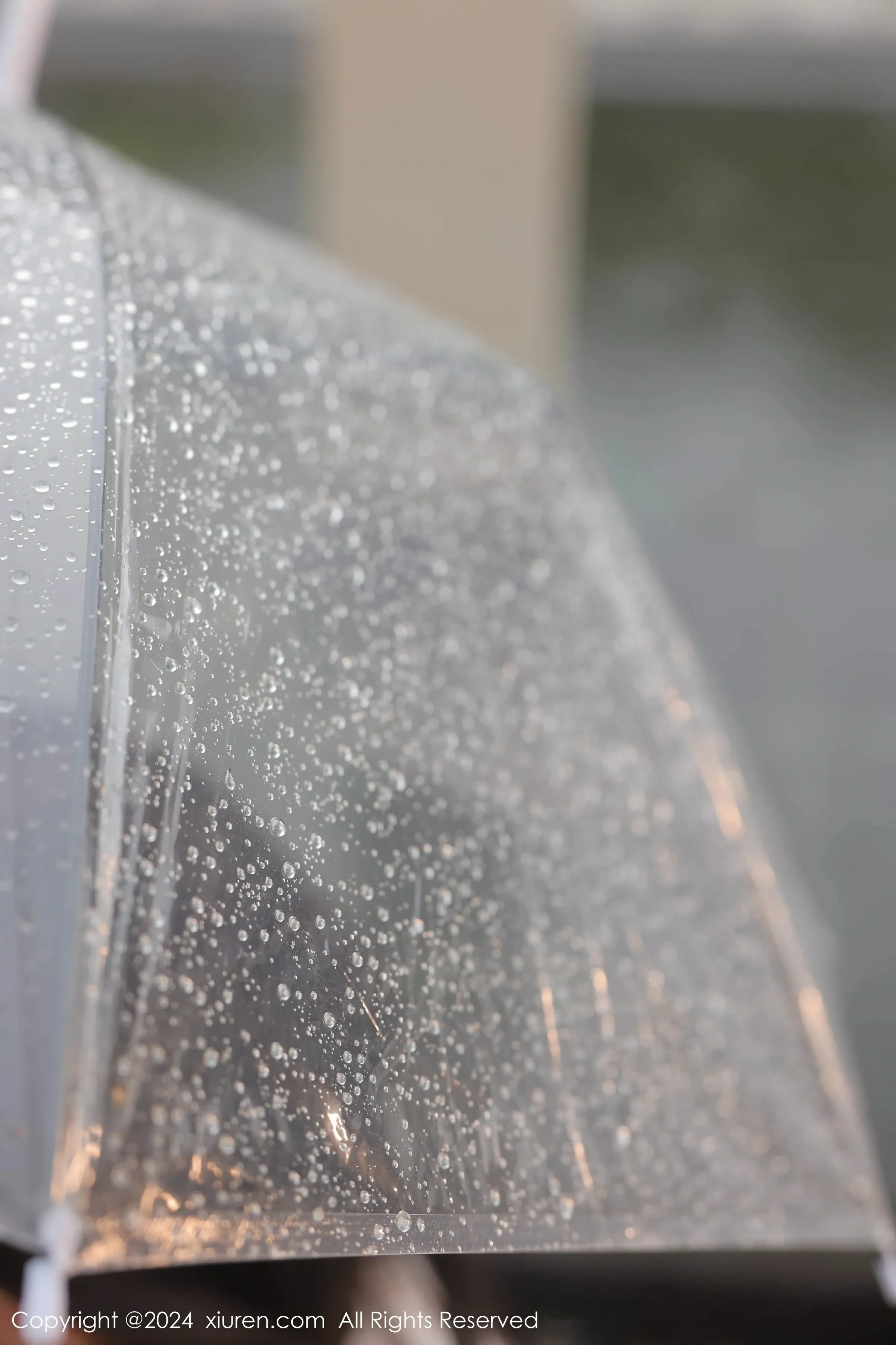  XiuRen 秀人 No.8885 桃妖夭 [92P]第1张