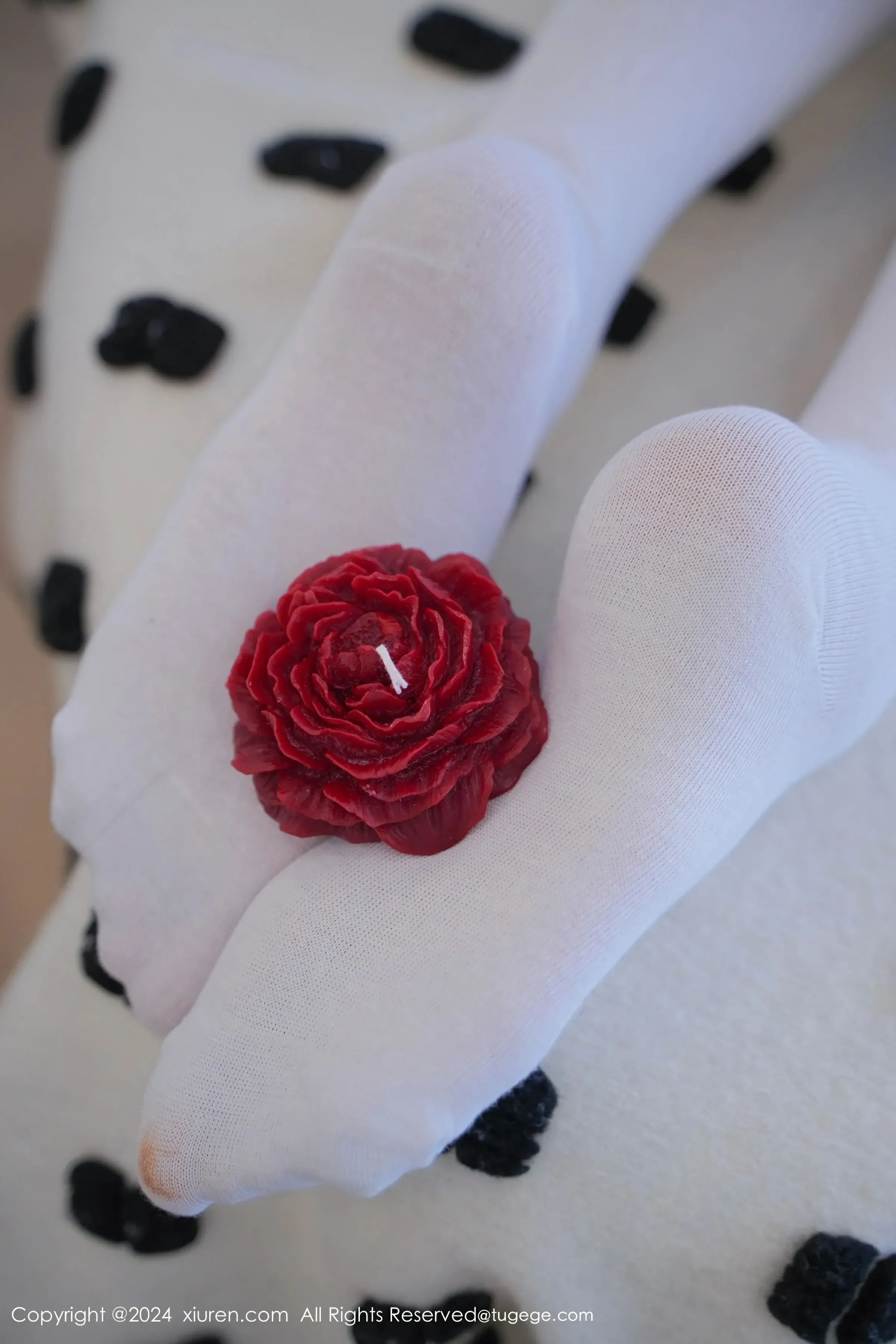  XiuRen 秀人 No.8268 晚苏susu [70P]第5张