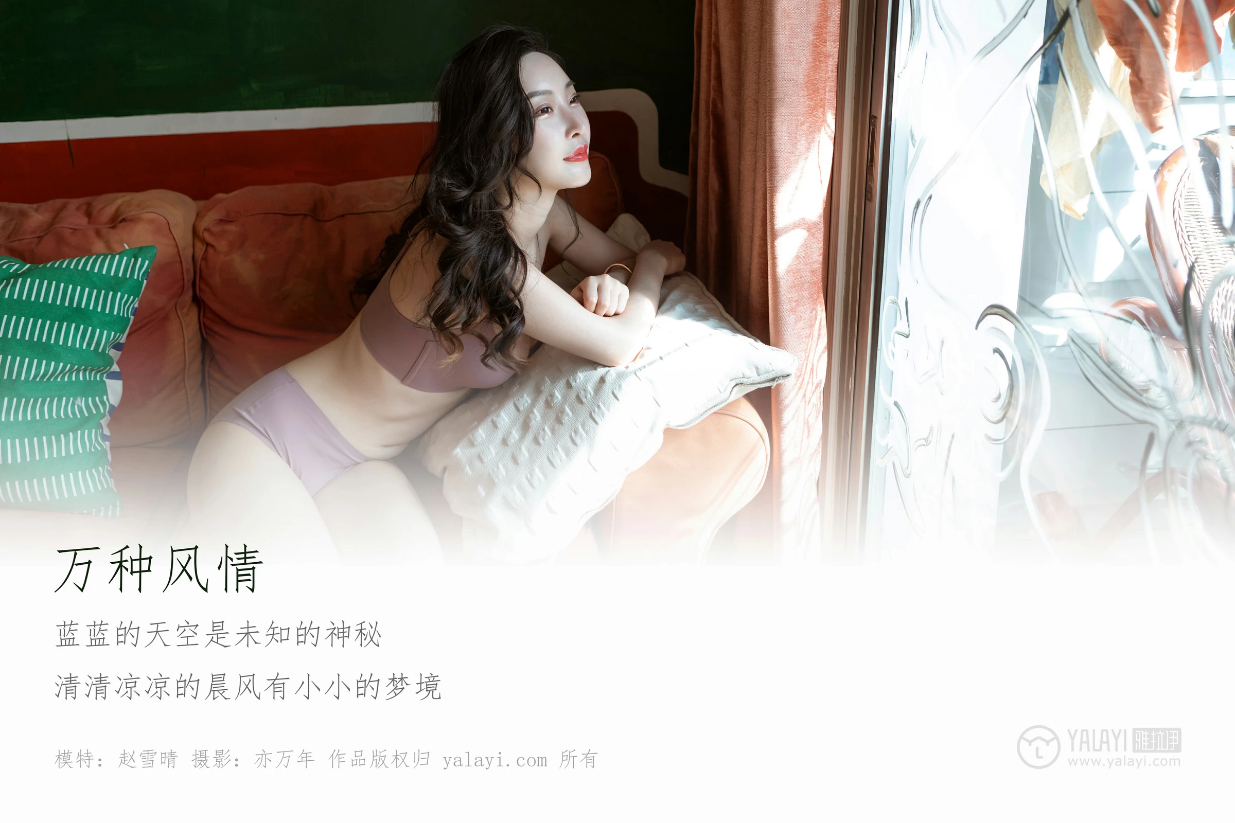 [YALAYI雅拉伊]No.235 《万种风情》 赵雪晴 棕色性感内衣居家私房写真集第1张