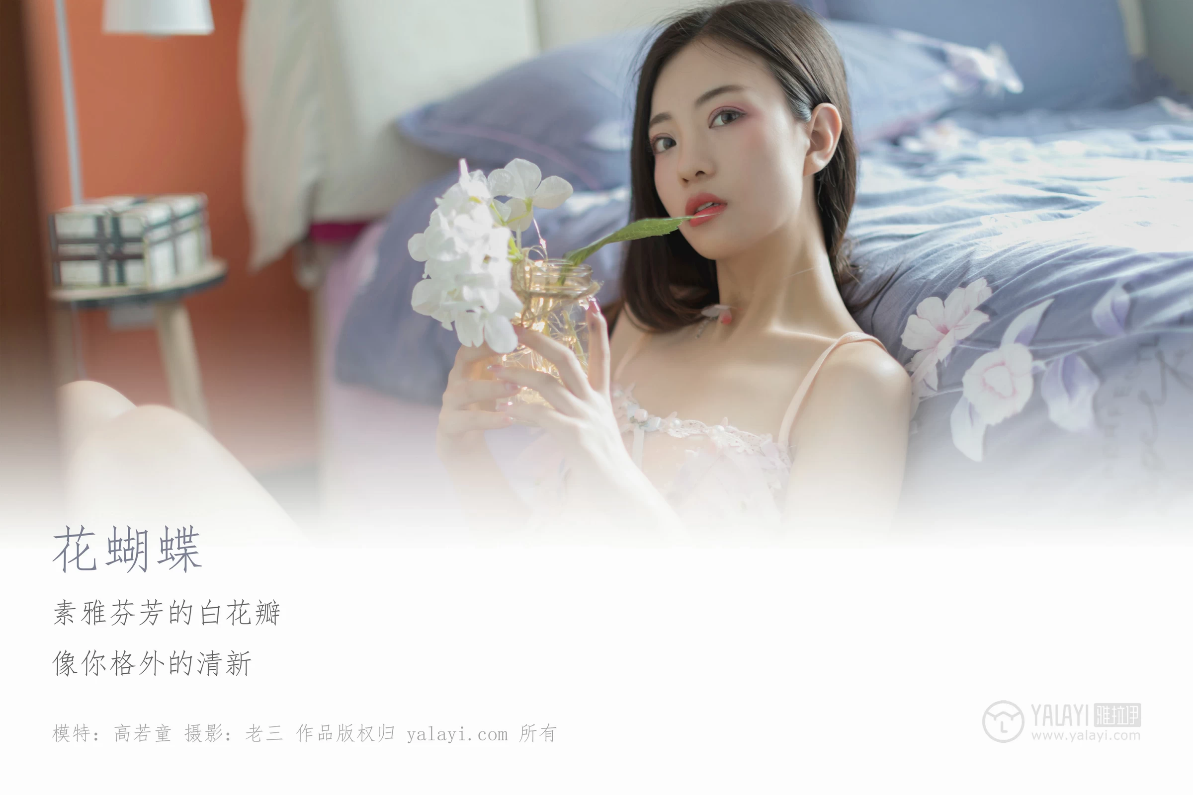 [YALAYI雅拉伊]No.311 花蝴蝶 高若童 粉色透视情趣内衣性感私房写真集第1张